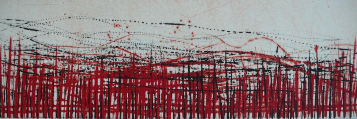 Johannes Haider Werk